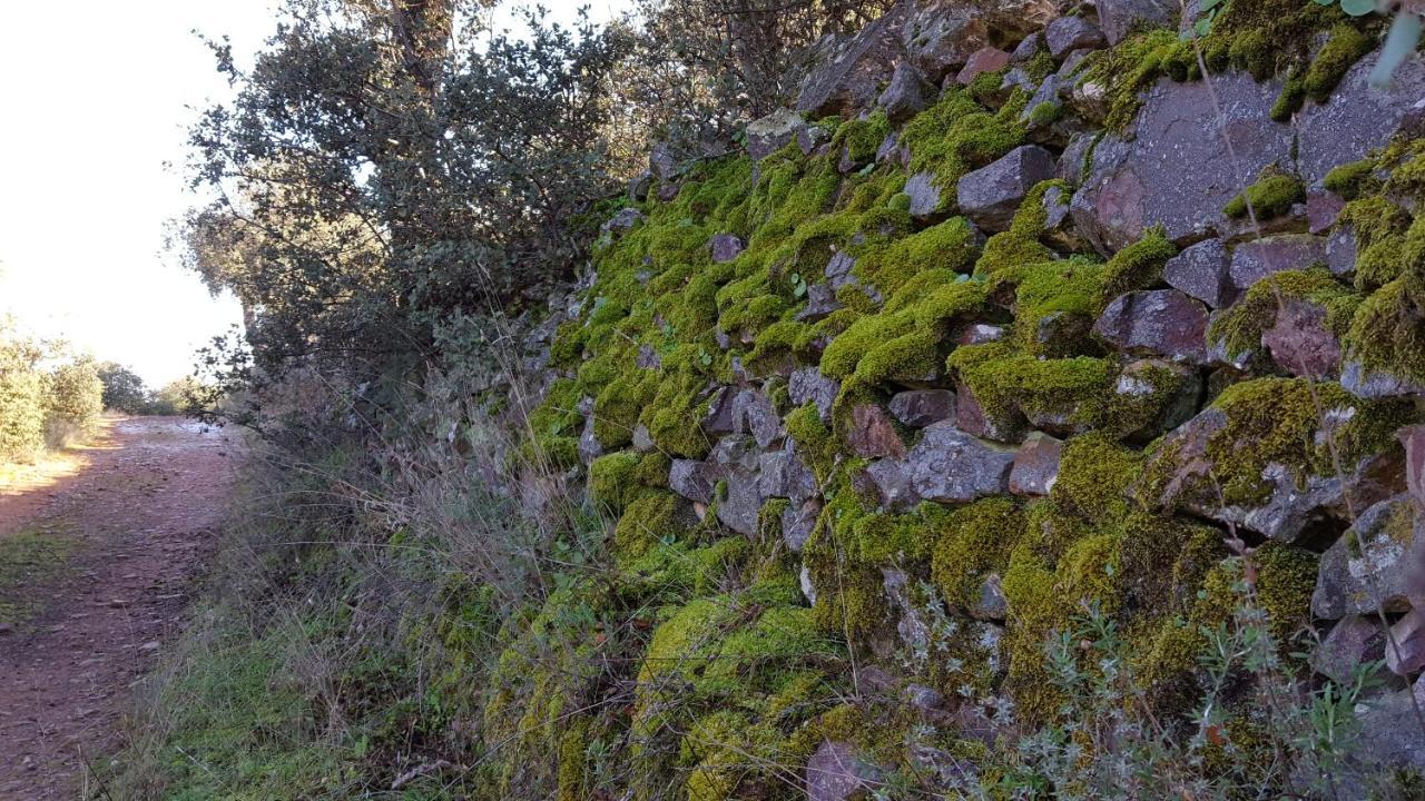 Casa Rural El Arco La Estrella  ภายนอก รูปภาพ